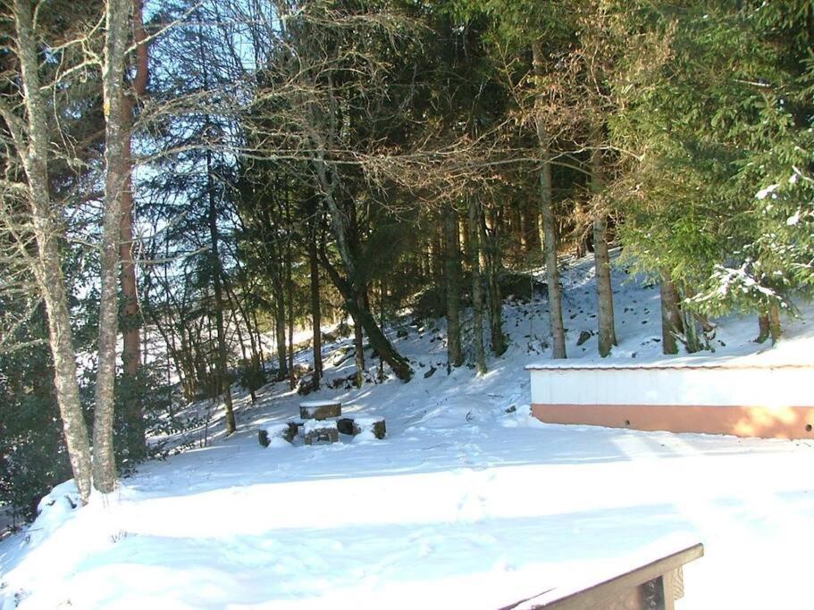 Maison D'Altitude Avec Vue Panoramique A Gérardmer Zewnętrze zdjęcie