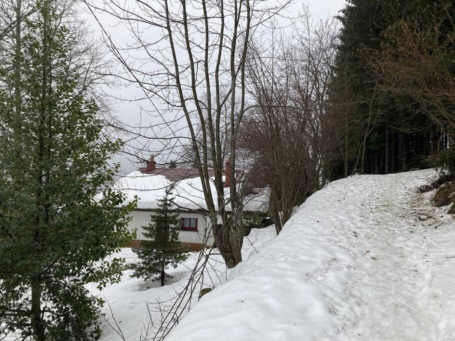 Maison D'Altitude Avec Vue Panoramique A Gérardmer Zewnętrze zdjęcie