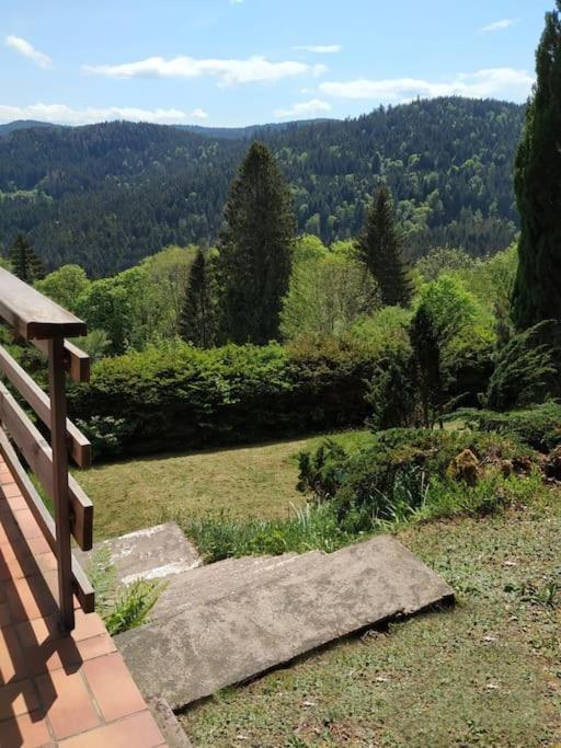 Maison D'Altitude Avec Vue Panoramique A Gérardmer Zewnętrze zdjęcie