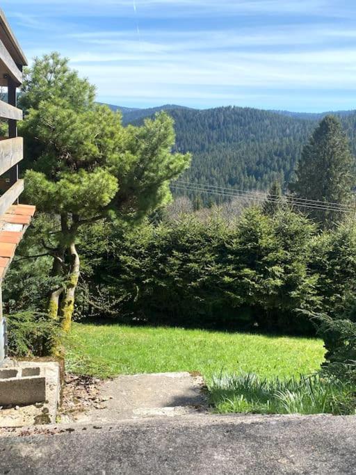 Maison D'Altitude Avec Vue Panoramique A Gérardmer Zewnętrze zdjęcie